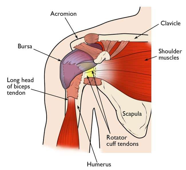 Shoulder Pain Treatment in Wasilla Northern Edge Physical Therapy